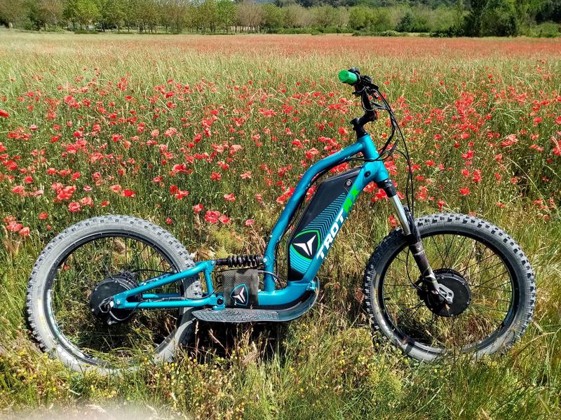 une trottinette électrique garée près d'un champ de coquelicot