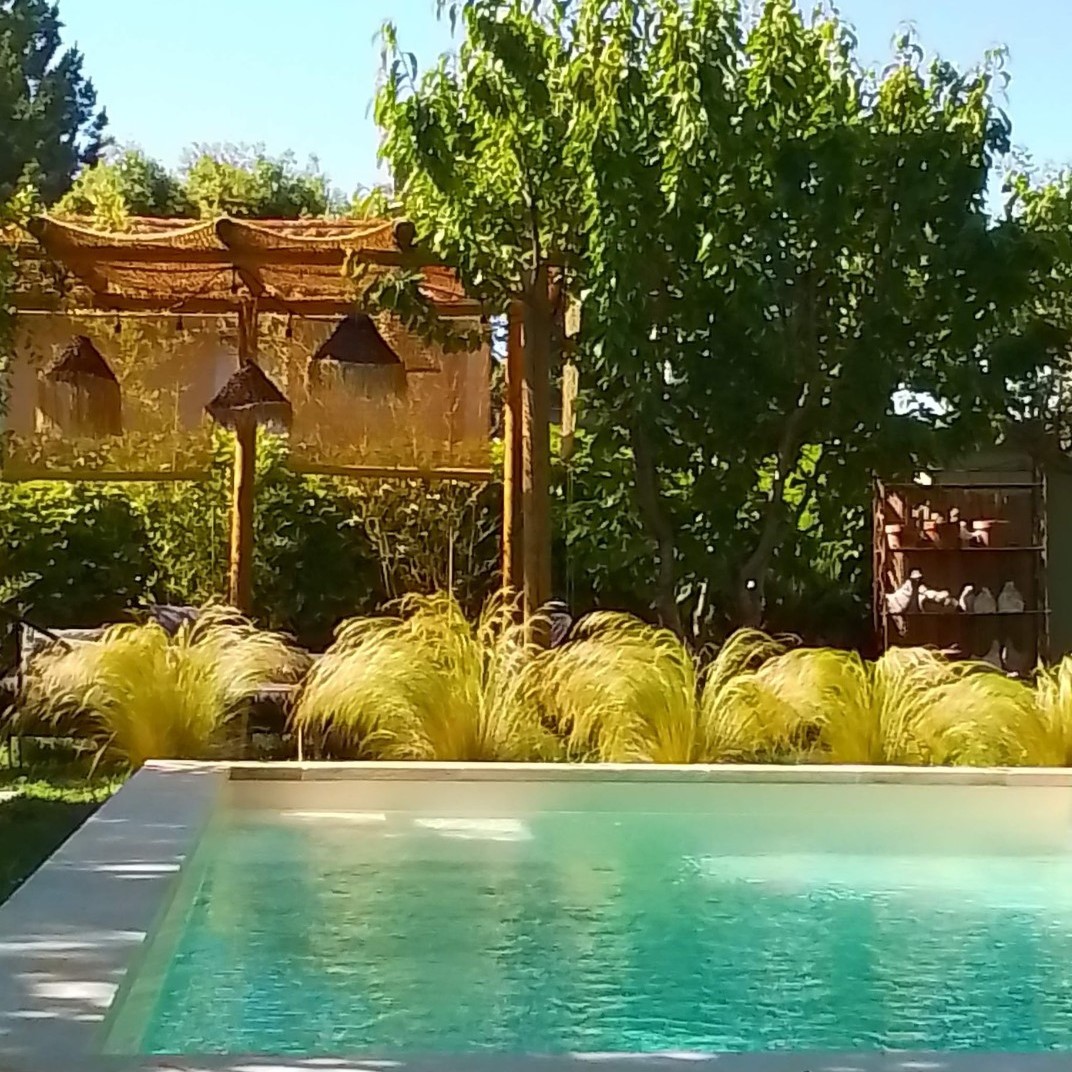 Une piscine rectangulaire à l'eau turquoise, bordée de plantes ornementales à feuilles longues et claires. En arrière-plan, un jardin luxuriant avec un auvent en bois et des suspensions lumineuses.