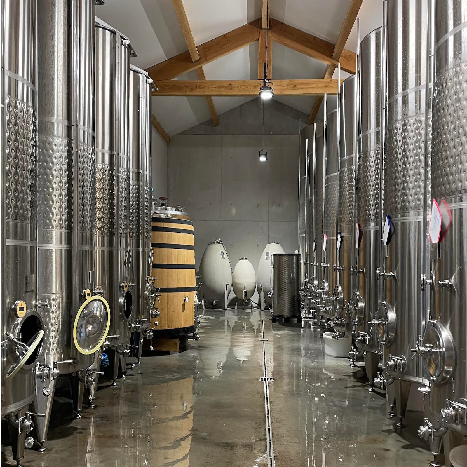 salle de cuves inox 