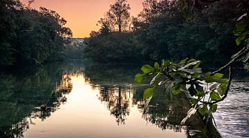 Quels sont les incontournables à faire et à voir à L’Isle-sur-la-Sorgue ?