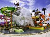 Wave Island