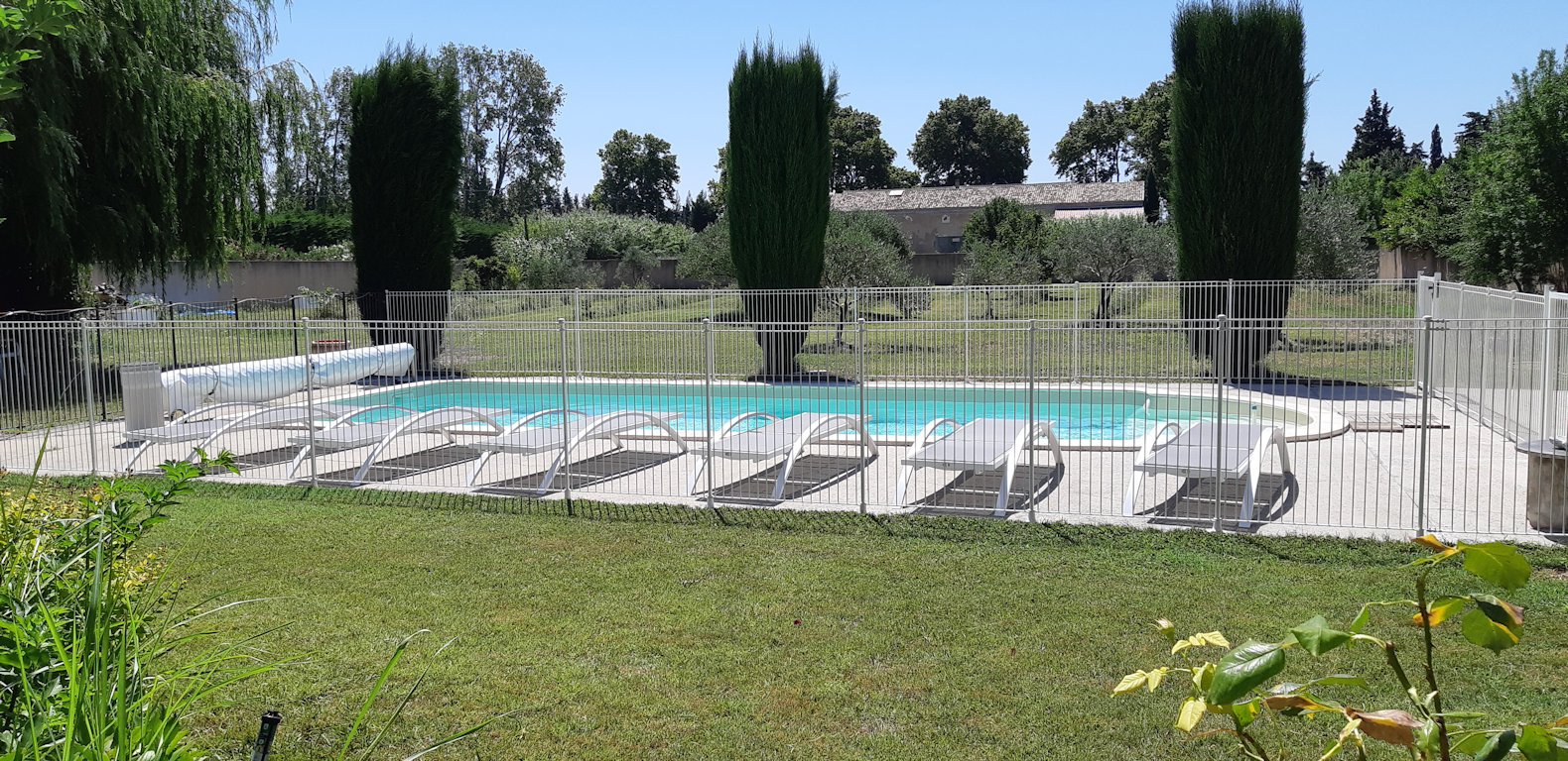 Une piscine extérieure clôturée, entourée d'une pelouse verte et de chaises longues blanches. En arrière-plan, on aperçoit des cyprès élancés, des oliviers et une bâtisse provençale sous un ciel bleu dégagé.