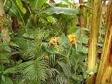 Le Carbet Amazonien_Velleron