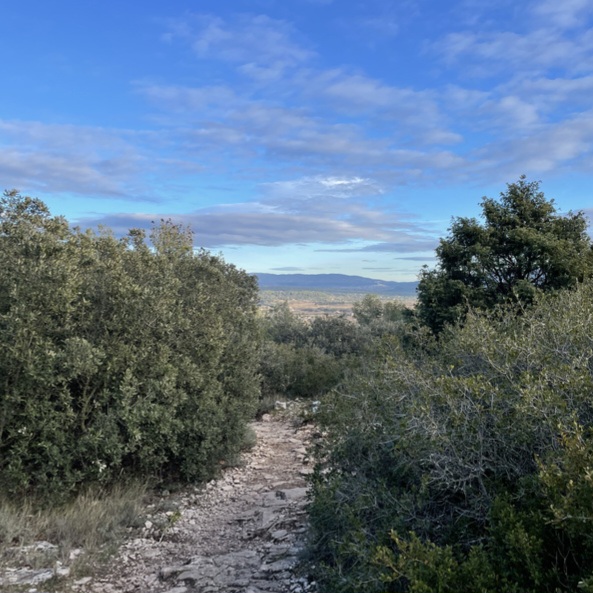 chemin traversant la végétation des collines