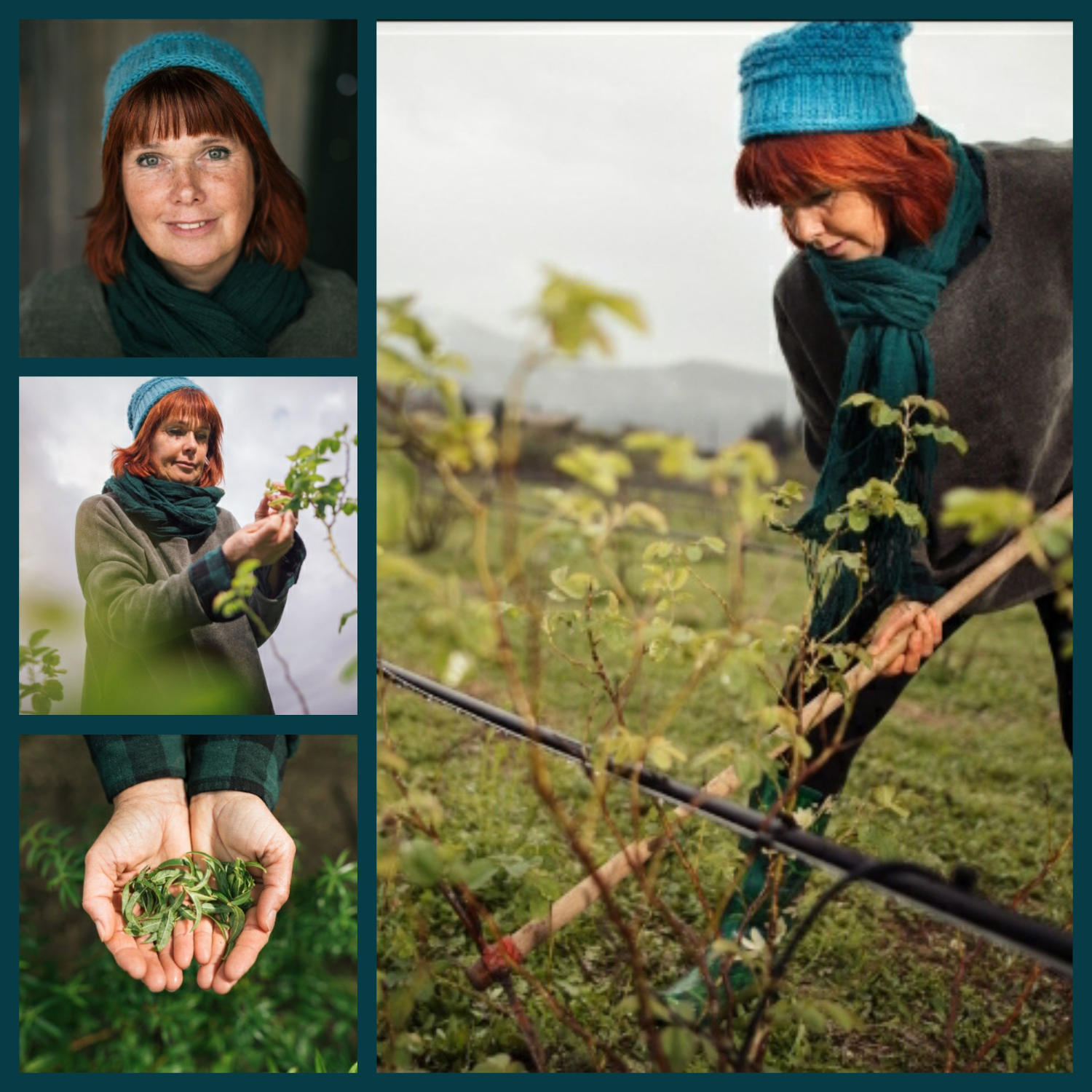Quatre photos d'une femme aux cheveux roux et au bonnet bleu, présentant des scènes où elle sourit, inspecte des plantes et tient des feuilles vertes dans ses mains, dans un cadre extérieur.