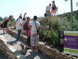 Distillerie Aroma Plantes