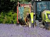 Distillerie Aroma Plantes