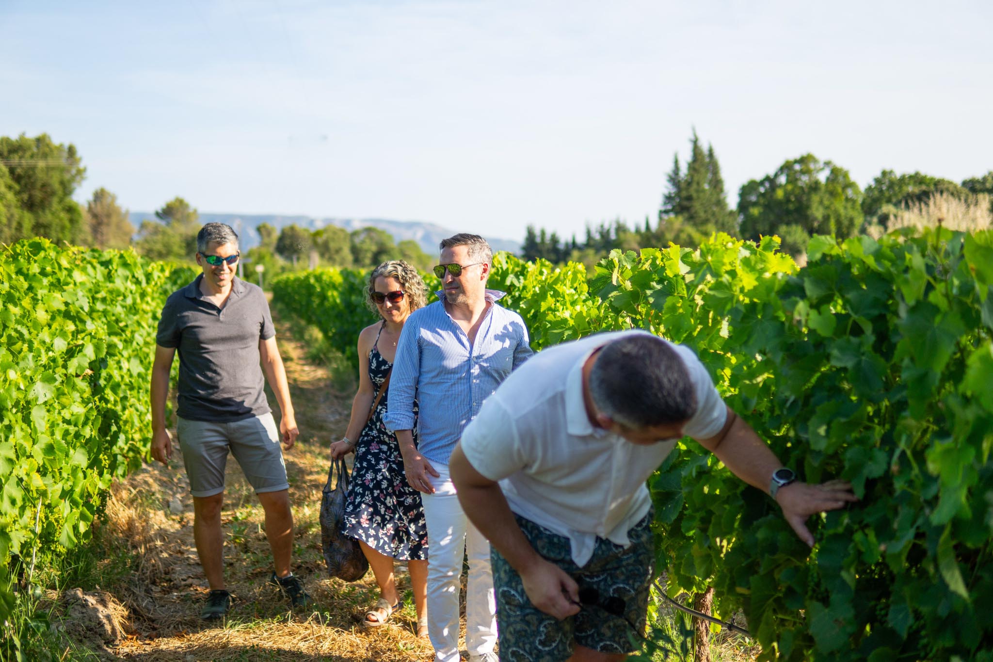 Un groupe de personnes se promène dans les rangées d'un vignoble par une journée ensoleillée, en regardant et en touchant les vignes. Ils portent des tenues décontractées d'été.