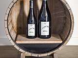 Bouteilles de vin