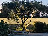 Mas des Branches d'Or