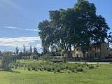 Mas des Branches d'Or