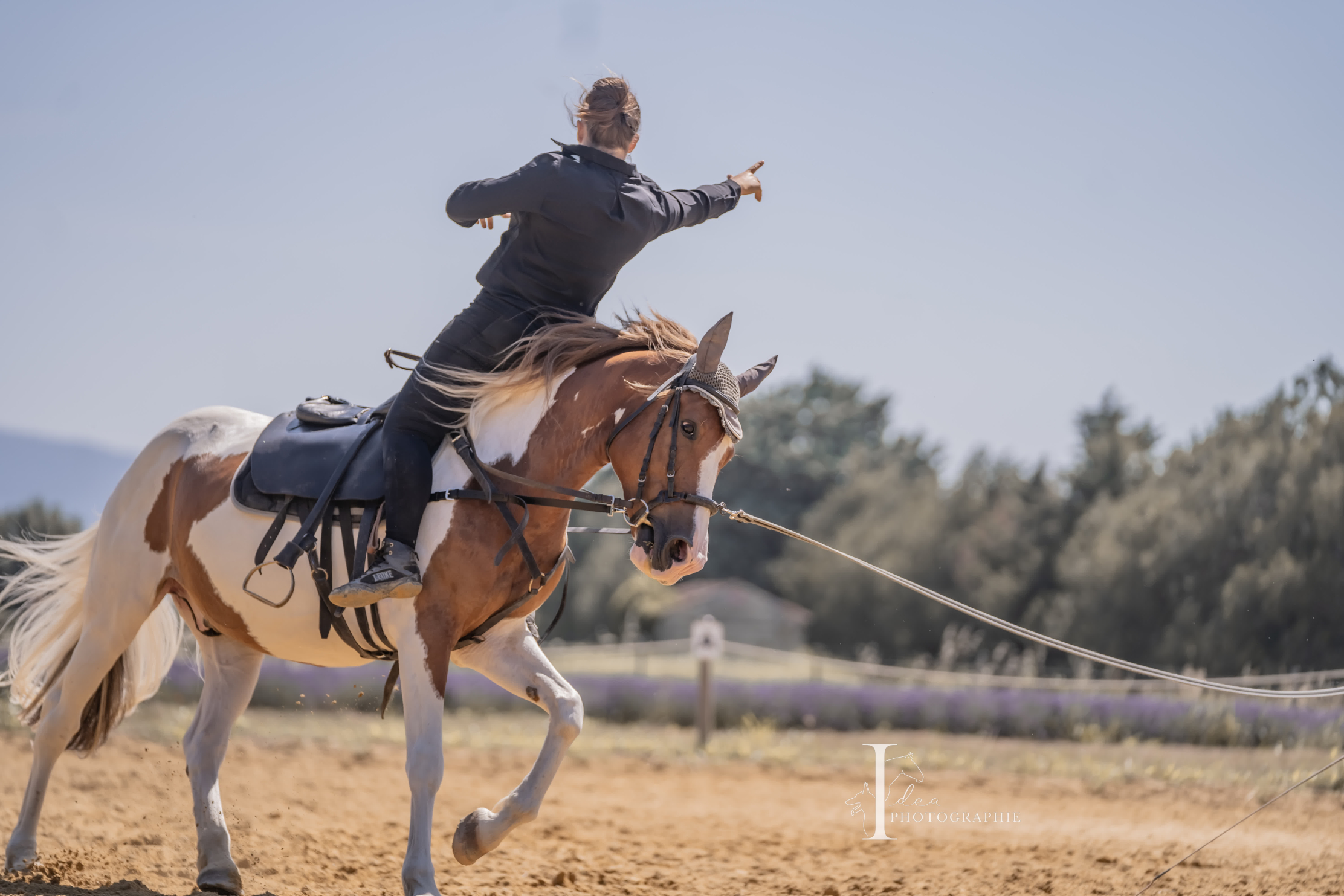 Une cavalière habillée en noir réalise une figure de voltige sur un cheval tacheté brun et blanc dans une carrière ensoleillée.