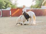 Prestation Camargue avec Hakka