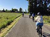 Provence Tourisme en E-bike_Saint-Rémy-de-Provence