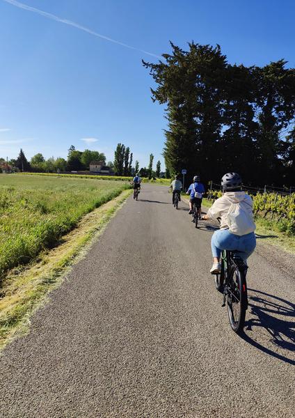 groupe de cyclistes de dos sur une route de campagne