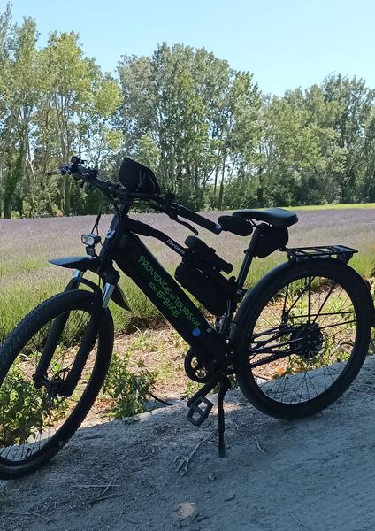 Gros plan sur vélo électrique dans la campagne. Haie d'arbres en fond