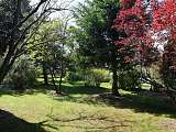 Jardin arboré et paisible