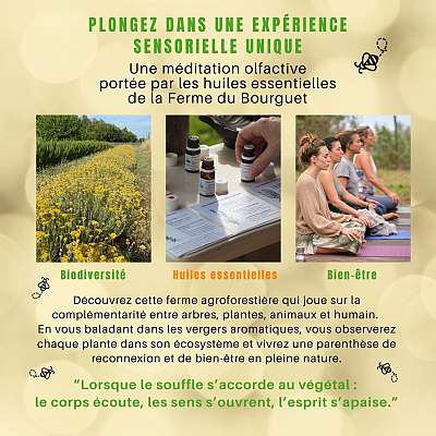Expérience sensorielle à la Ferme du Bourguet