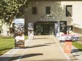 Boutique Brun de Vian -Tiran_L'Isle-sur-la-Sorgue