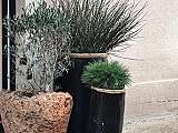 Maison NP pots