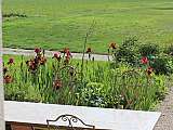 Jardin et champ