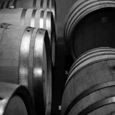 Visite de cave & dégustation au Domaine de la Coquillade