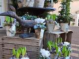 petits pots exterieur