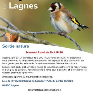 Les oiseaux des jardins à Lagnes