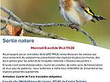 Les oiseaux des jardins à Lagnes_Lagnes