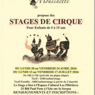 Stages de cirque