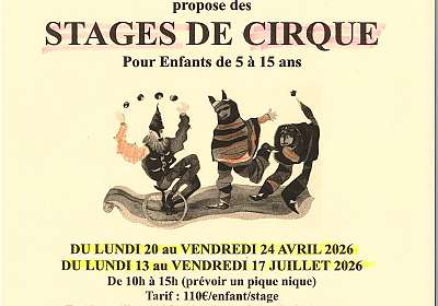 Stages de cirque