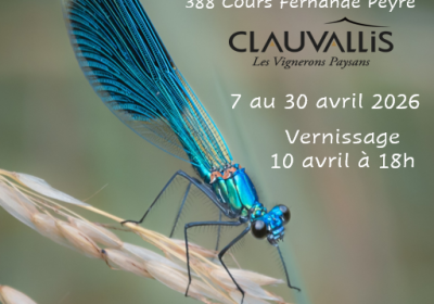   Les ailes de l'eau  expo photos de Philippe Croayne à Clauvallis