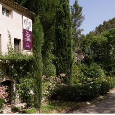 Exposition Mémoire de feuilles