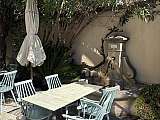 Café Fleurs_L'Isle-sur-la-Sorgue