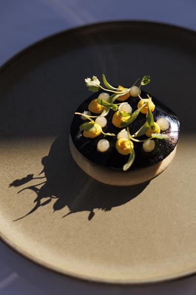 Plats agrémentée de points de sauces