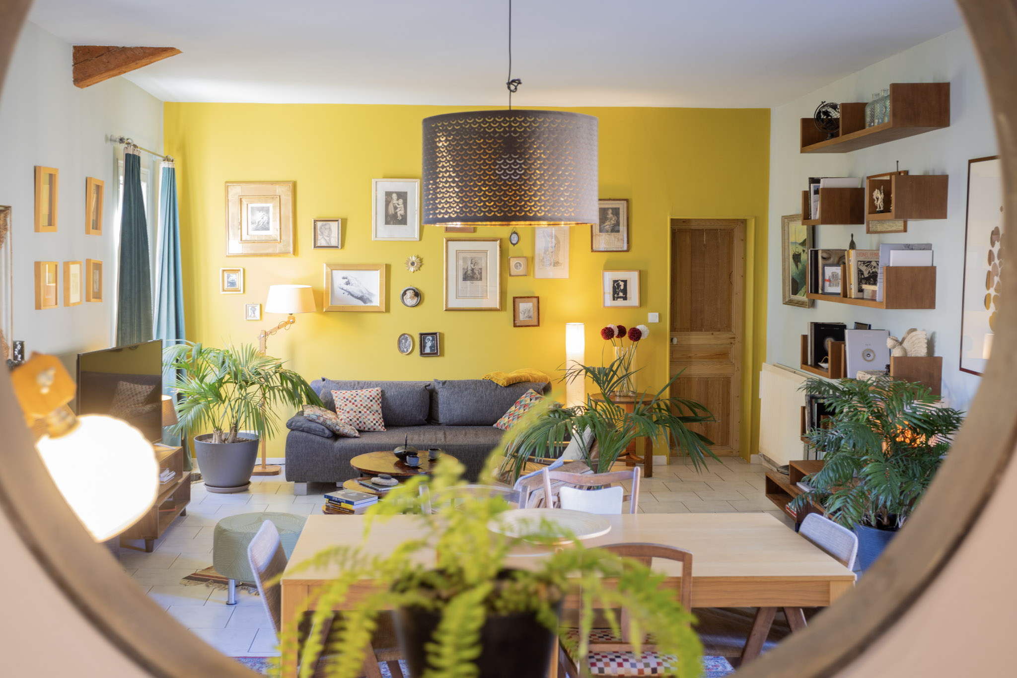 salon avec au fond un mur jaune rempli de cadres et un canapé gris adossé. beaucoup de plantes vertes et d'étagères bois