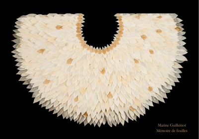 Visite guidée flash exposition 