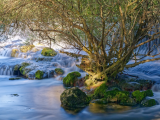Cascades l' Isle-sur-la-Sorgue