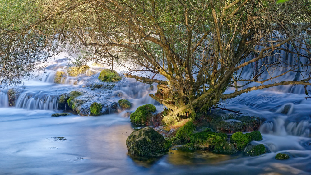 Cascade naturelle de la Sorgue en pose longue, entourée de rochers moussus et d’une végétation dense, offrant une ambiance douce et apaisante.
