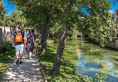 Balade en bord de Sorgue