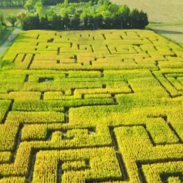Labyrinthe les Hautes Herbes