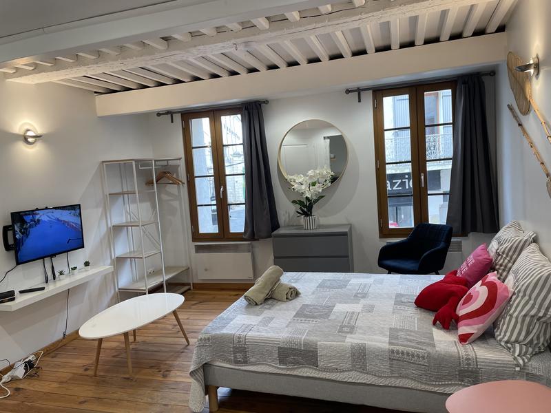 Studio lumineux et chaleureux avec espace nuit confortable au cœur de L’Isle-sur-la-Sorgue.
