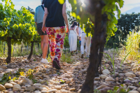 sunsetvigneron-chateauneufdegadagne-JULIENABELLAN16.jpg_compressed.JPEG