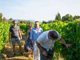 Sunset Vignerons au Domaine Trèlus_Saumane-de-Vaucluse