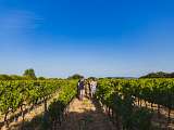 Sunsets Vignerons au Domaine des Garriguettes_Châteauneuf-de-Gadagne