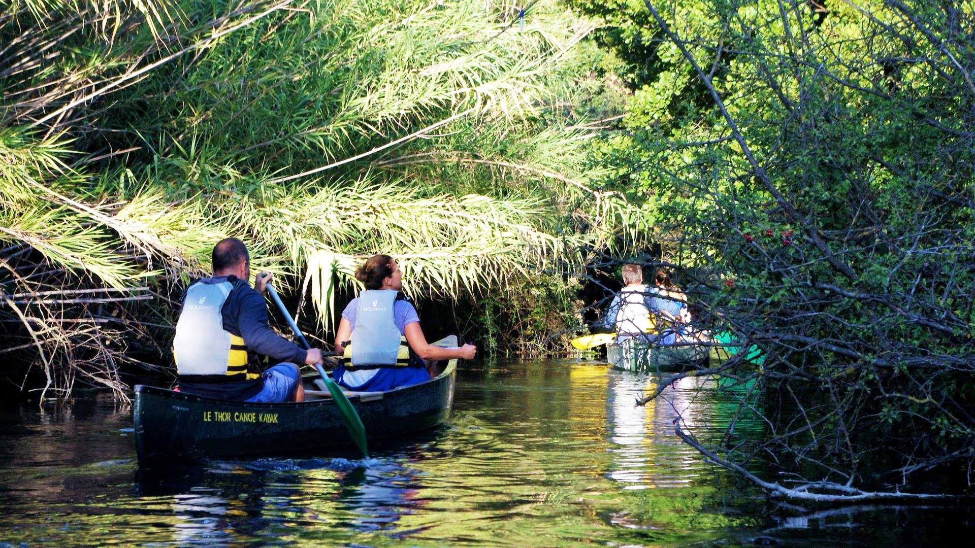 Plusieurs personnes pagaient en canoë sur un passage étroit et ombragé de la rivière. Les branches et les feuillages entourent les embarcations, donnant l’impression d’avancer dans un petit tunnel végétal sauvage et préservé.
