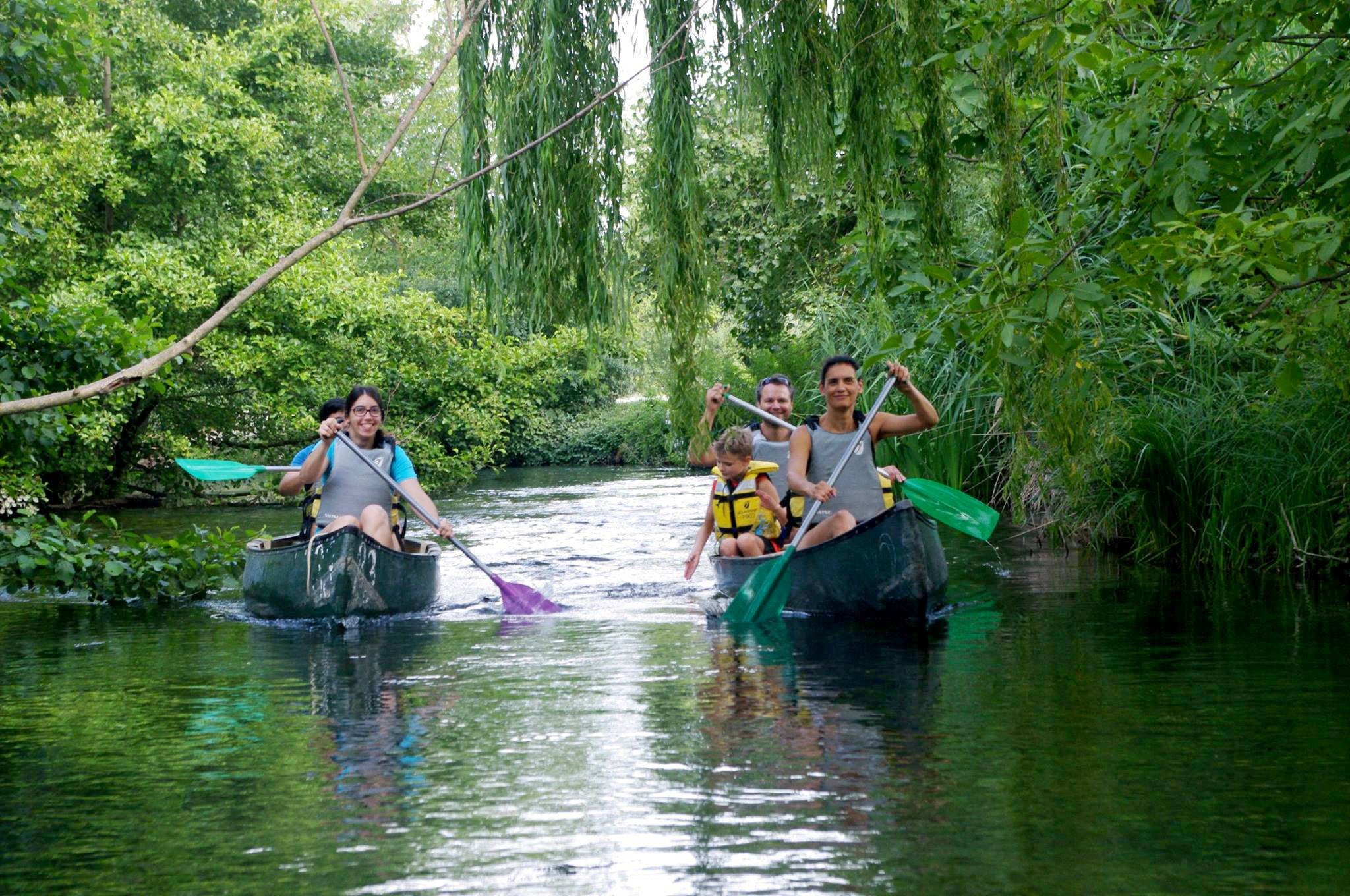 Famille et amis profitant d’une descente en canoë avec le Club de canoë-kayak du Thor, au cœur d’un bras sauvage de la Sorgue entouré d’une végétation luxuriante.