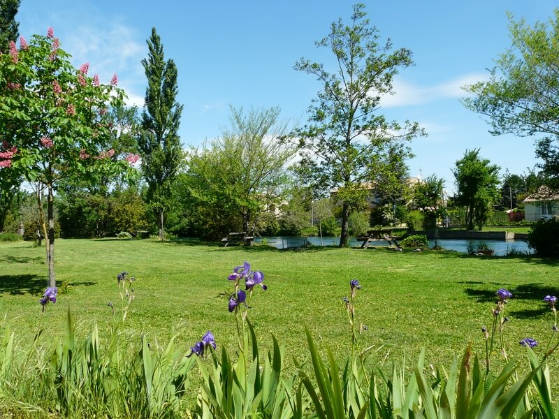 jardin en bord de Sorgue, des orchidées violettes sont visibles au premier plan