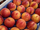 Nectarines jaunes en plateaux