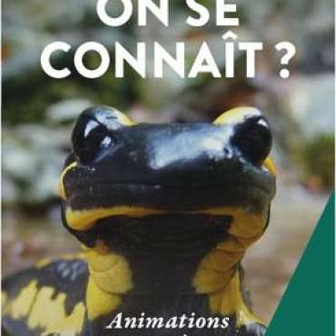 Rendez-vous Nature : Récolte de raisin de table à la Ferme du Bourguet